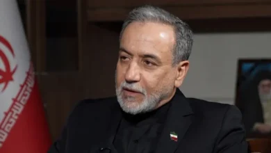 سایت 203