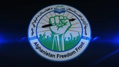 سایت 205