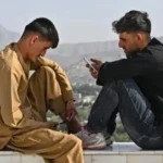 سایت 229