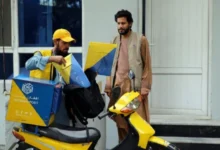 سایت 230