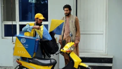 سایت 230