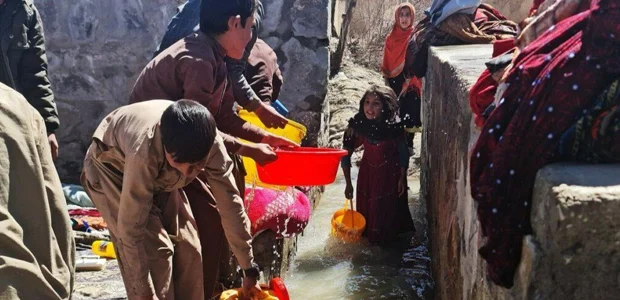 سایت 233
