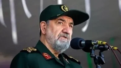 سایت 252