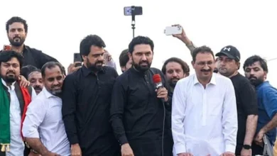 سایت 255