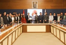 سایت 256