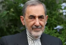 سایت 261