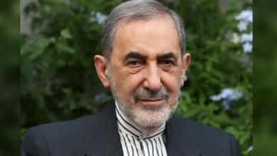 سایت 261