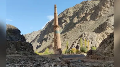 سایت 304