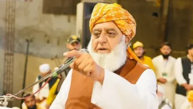 سایت 306