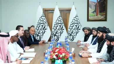 تأکید کابل و سازمان همکاریهای اسلامی بر گسترش روابط و همکاریها 5 سایت 308