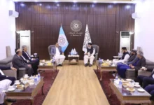 بررسی سرمایهگذاری ایران در معادن آهن هرات و تولید لوازم خانگی در افغانستان 2 سایت 317
