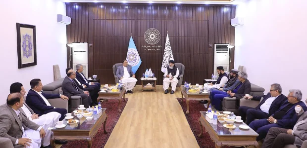 سایت 317