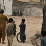 سایت 323
