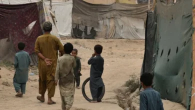 سایت 323