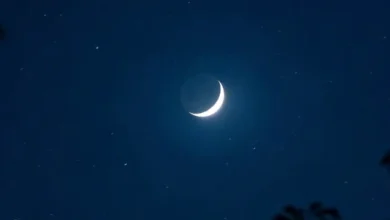 سایت 326