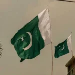 سایت 341
