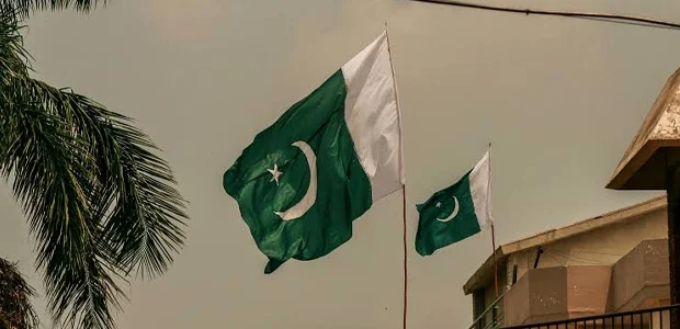 سایت 341