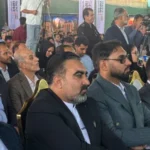 سایت 343