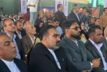 سایت 343