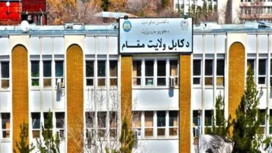 سایت 371
