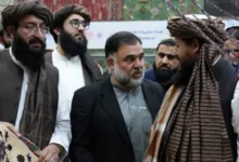 سایت 377