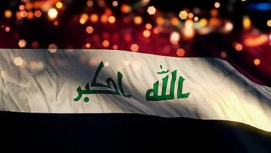 سایت 43