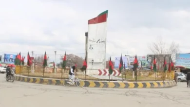 سایت 441