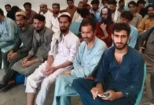 سایت 442