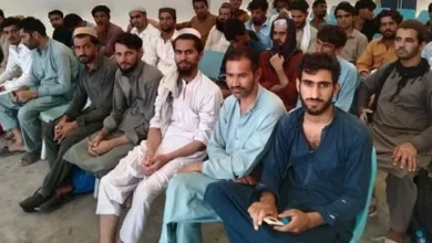 سایت 442