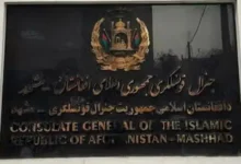 سایت 46