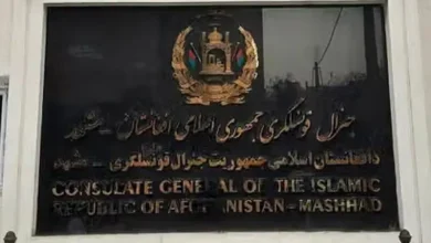 سایت 46