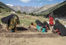 فقر در افغانستان؛ خوداتکایی و اشتغال، راه عبور از بحران اقتصادی 2 سایت 473