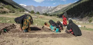 فقر در افغانستان؛ خوداتکایی و اشتغال، راه عبور از بحران اقتصادی