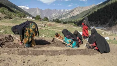 فقر در افغانستان؛ خوداتکایی و اشتغال، راه عبور از بحران اقتصادی 2 سایت 473