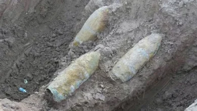 سایت 49