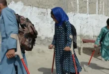 سایت 545