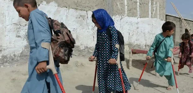 سایت 545