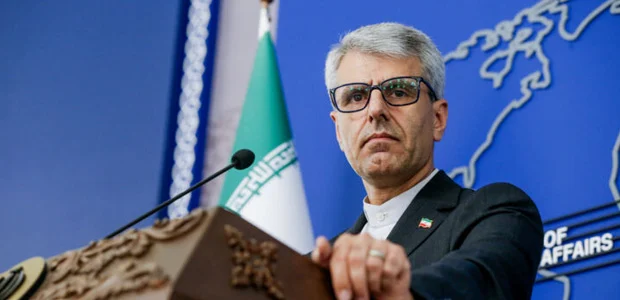 بقایی: امنیت مرزهای ایران، افغانستان و پاکستان نیازمند همکاری مشترک است 1 سایت 557
