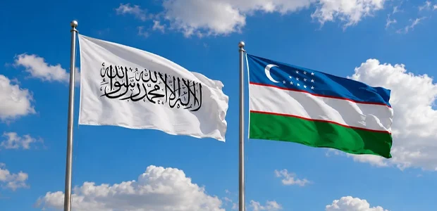 سایت 72