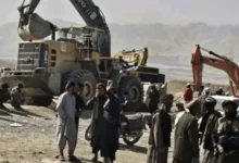 سایت 8
