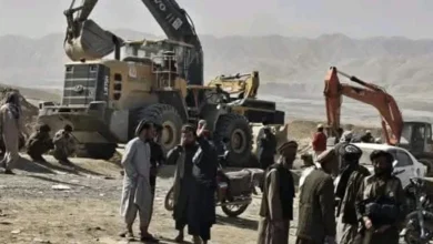 سایت 8