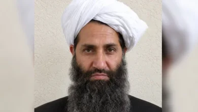 سایت 82