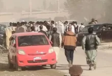 سایت 84