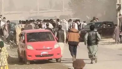 سایت 84