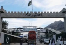 سایت Recovered 31